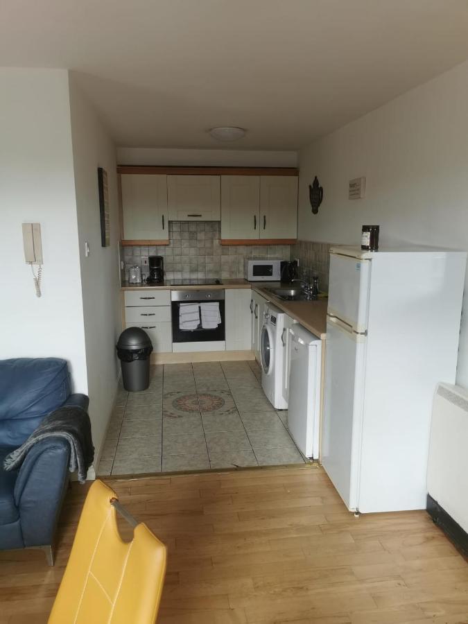 Cosy Retreat Daire Galway Dış mekan fotoğraf